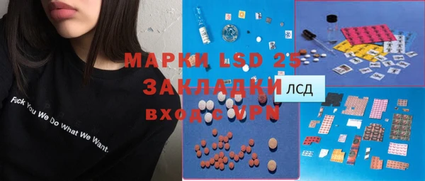 индика Верхний Тагил