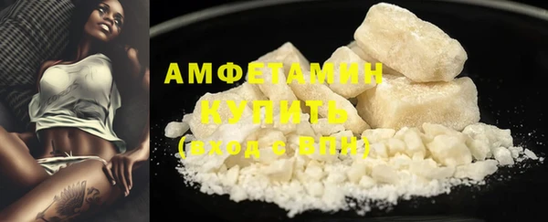 индика Верхний Тагил