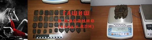 индика Верхний Тагил