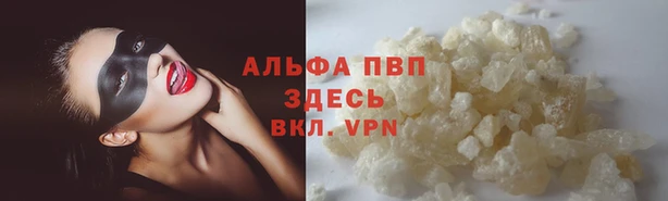 индика Верхний Тагил
