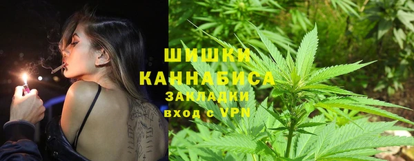 индика Верхнеуральск