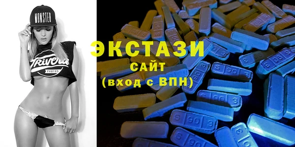 амф Тайга