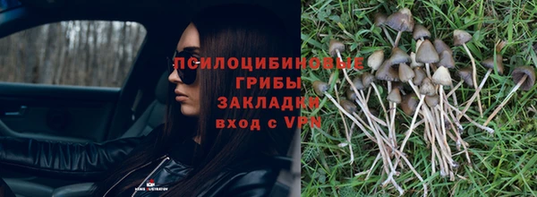 прущие крисы Бронницы