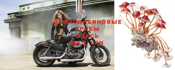 СК Верея